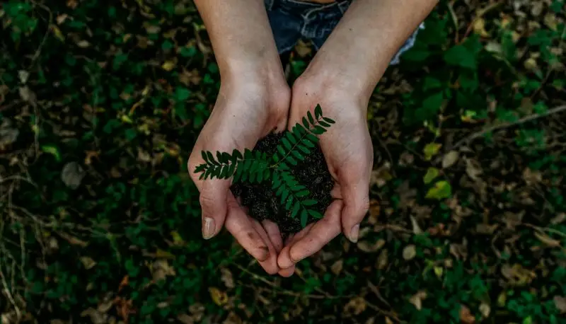 Reciclare Colectare selectiva