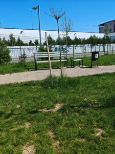 Spatii verzi